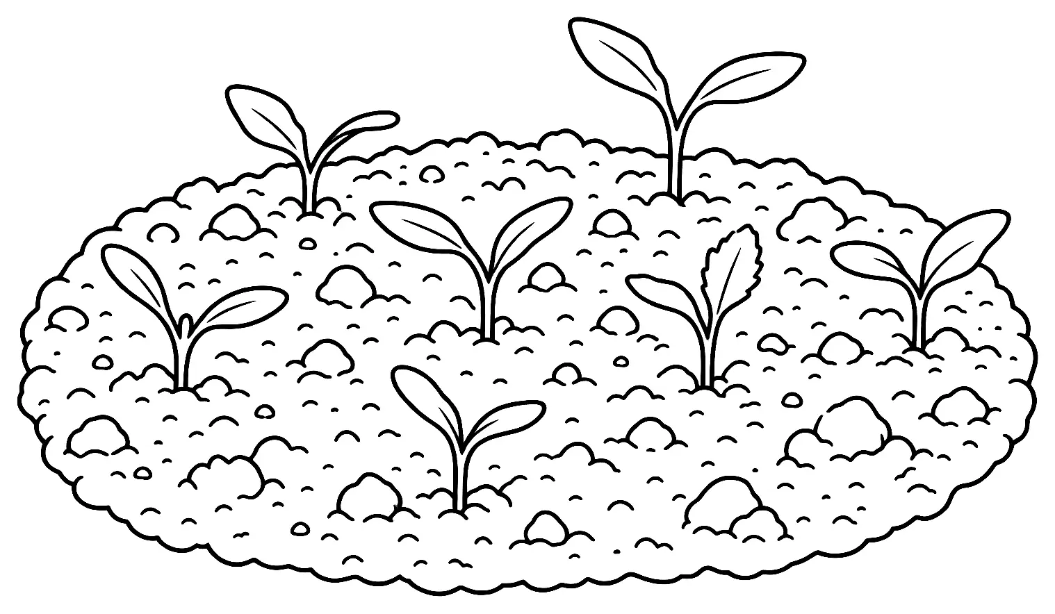 Coloriage de Faux semis : dessin au trait noir à colorier