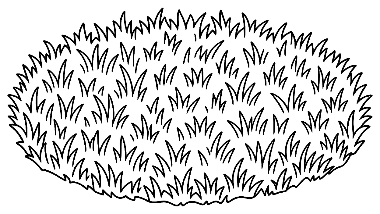 Coloriage de Gazon : dessin au trait noir à colorier