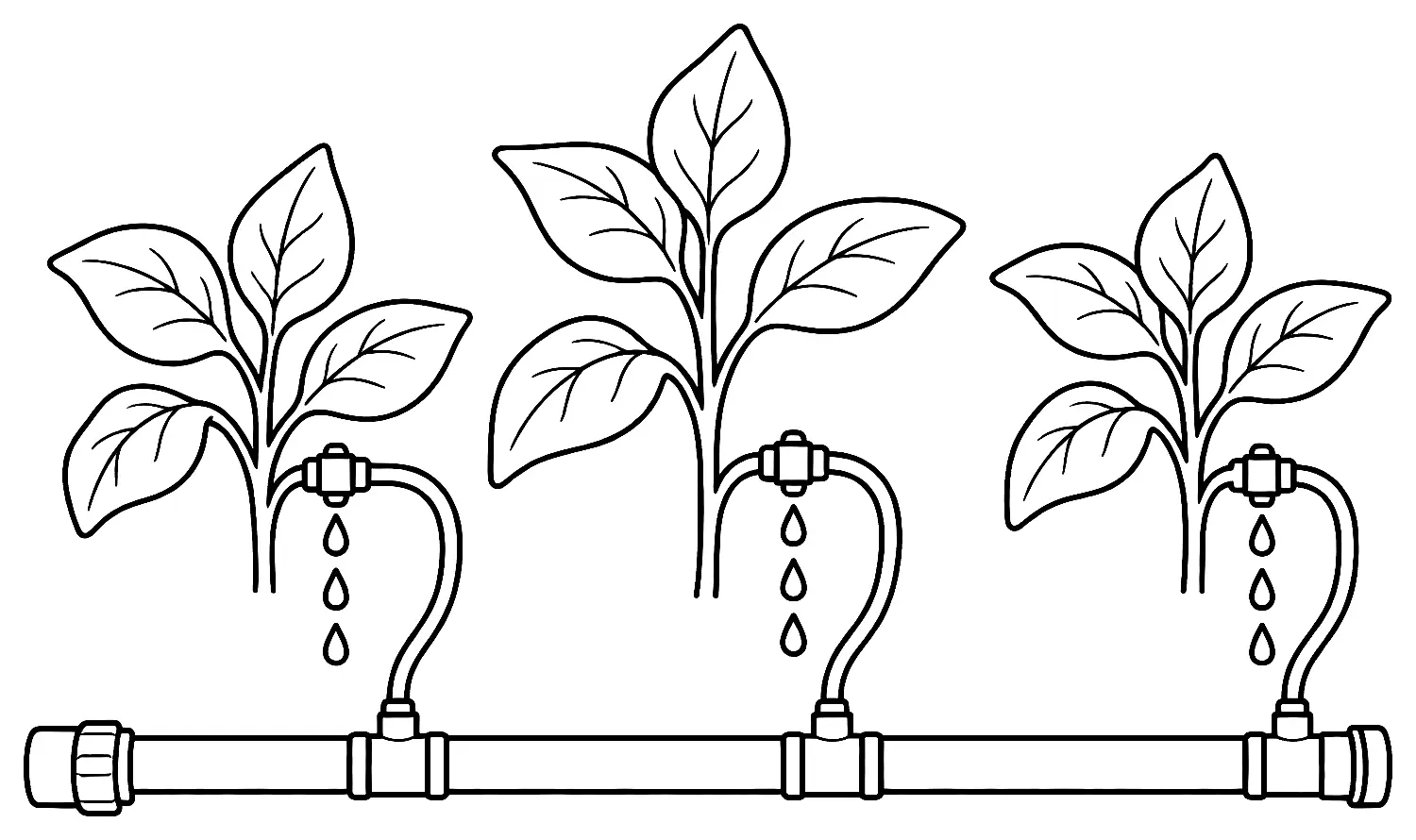 Coloriage de Goutte-à-goutte : dessin au trait noir à colorier
