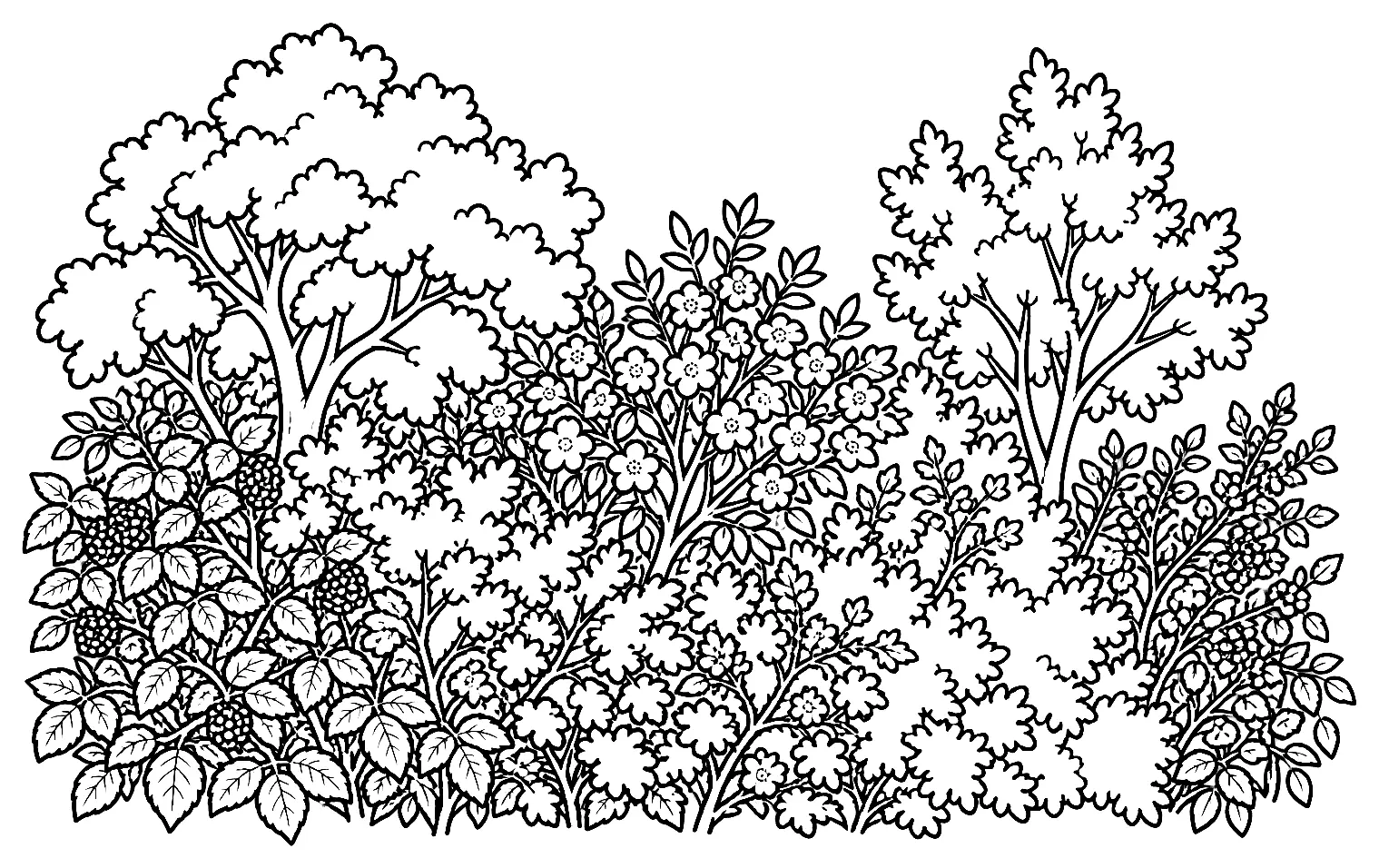 Coloriage de Haie champêtre : dessin au trait noir à colorier