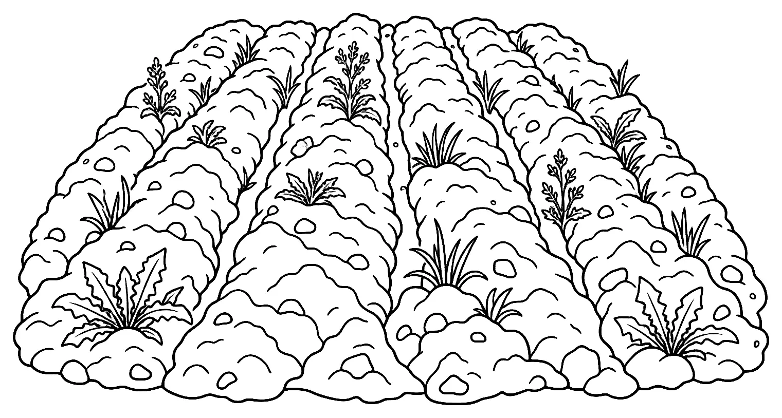 Coloriage de Jachère : dessin au trait noir à colorier