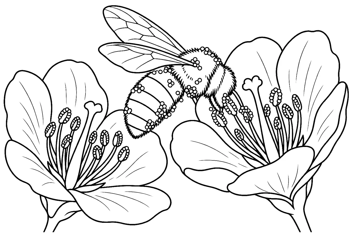 Coloriage de Pollinisation : dessin au trait noir à colorier
