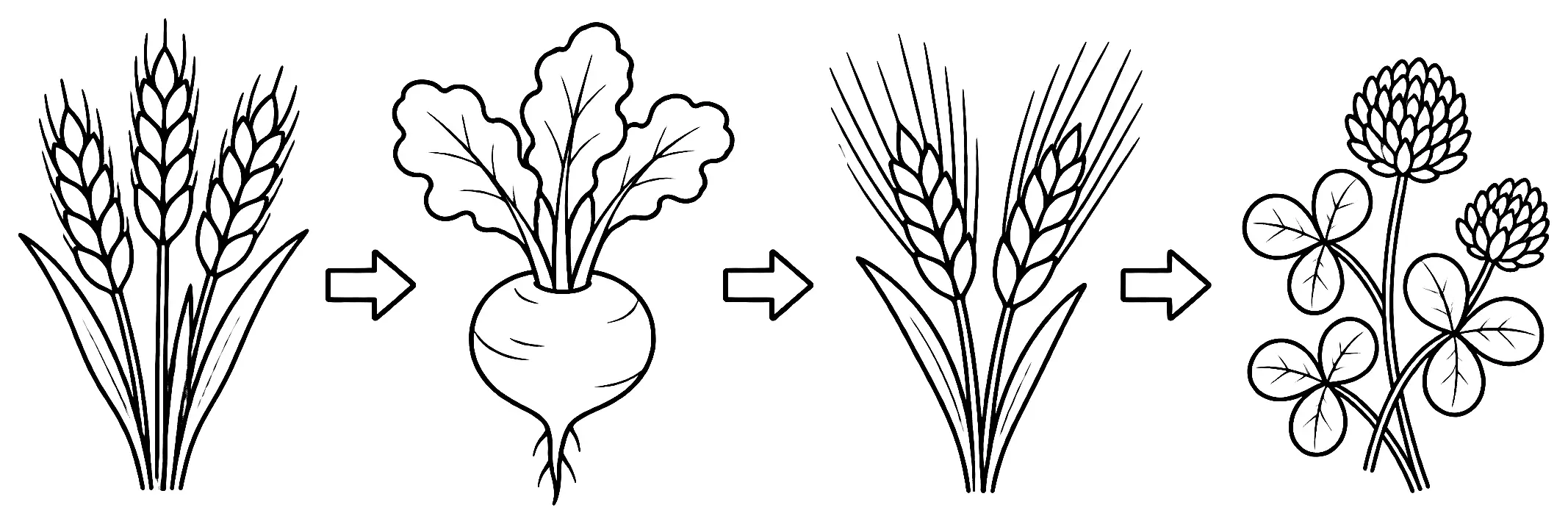 Coloriage de Rotation des cultures : dessin au trait noir à colorier
