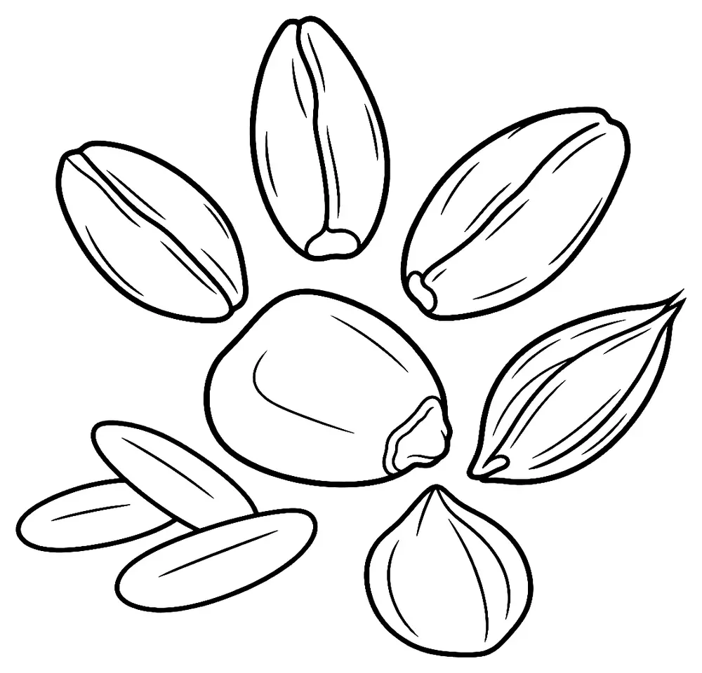 Coloriage de Séchage : dessin au trait noir à colorier