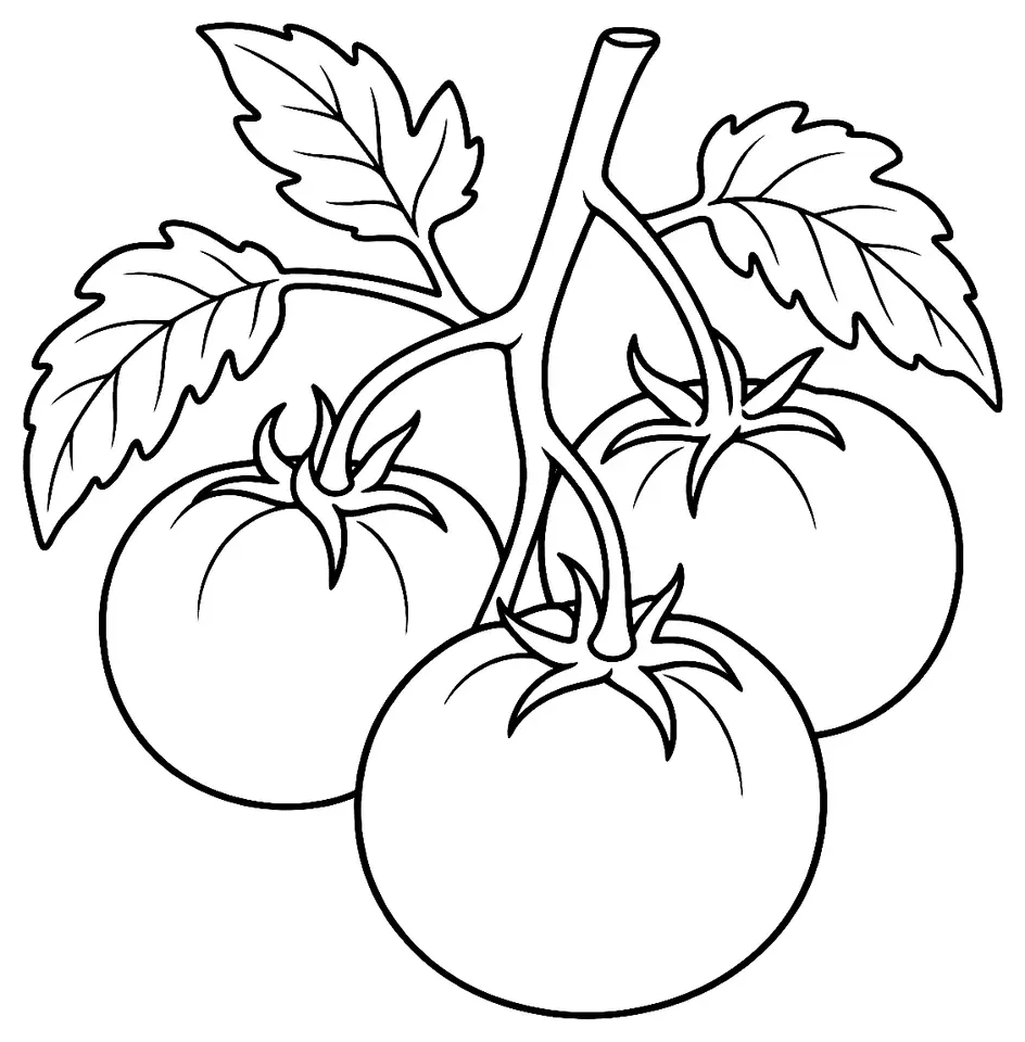 Coloriage de Flavr Savr (tomate) : dessin au trait noir à colorier