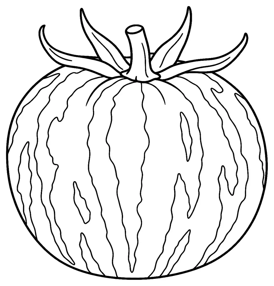 Coloriage de Green Zebra : dessin au trait noir à colorier