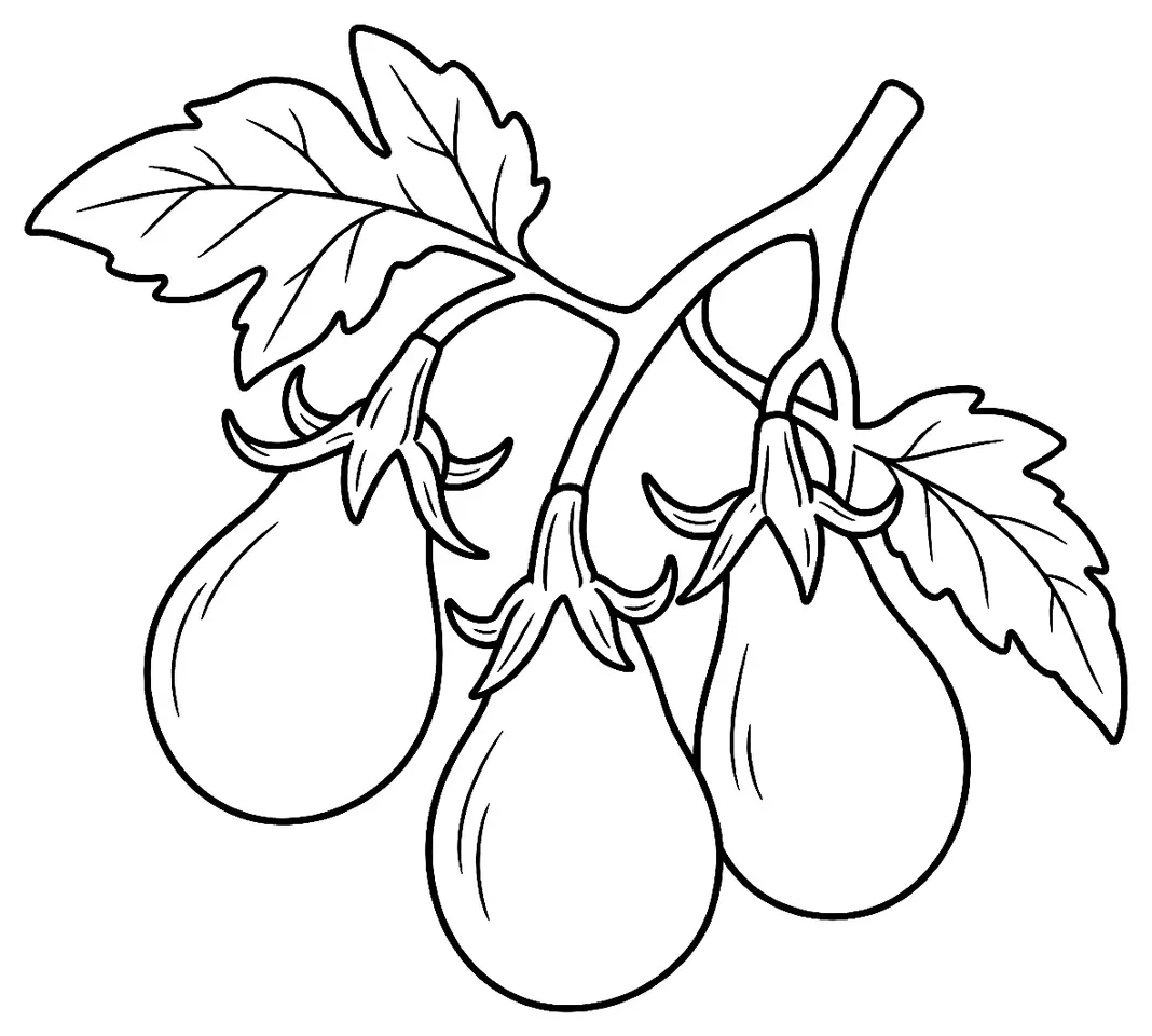 Coloriage de Tomate poire : dessin au trait noir à colorier