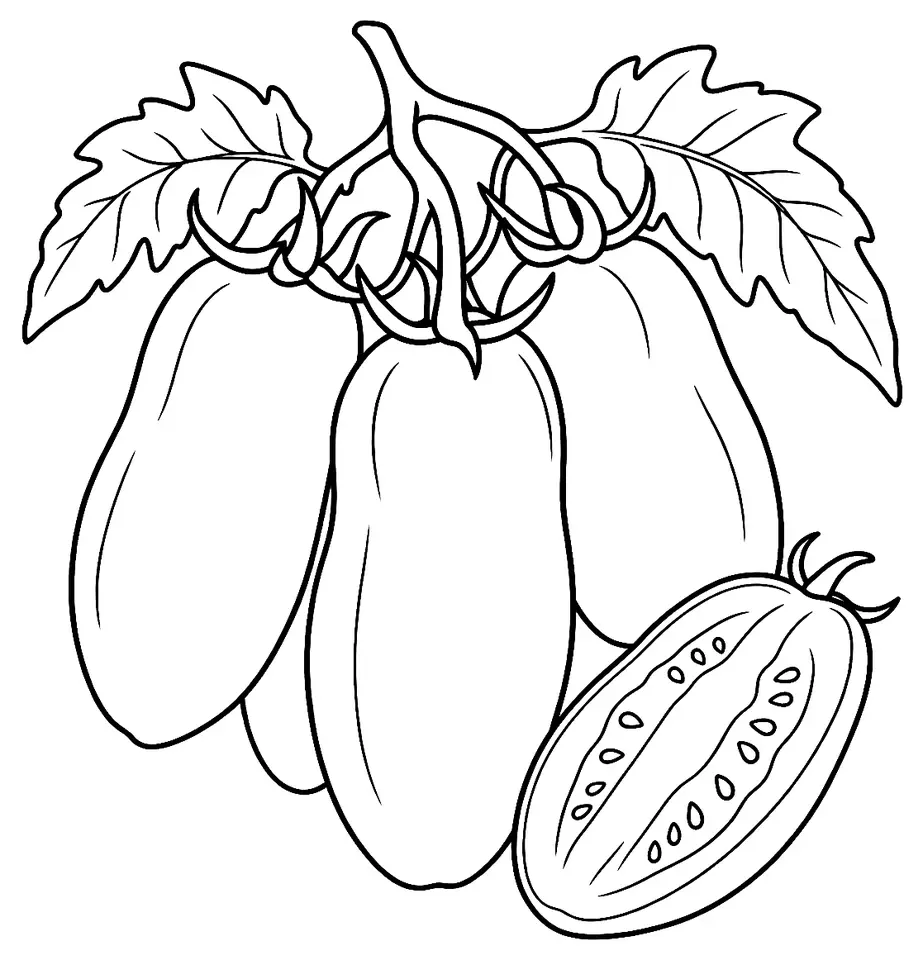 Coloriage de Tomate S. Marzano de l’Agro Sarnese-Nocerino : dessin au trait noir à colorier