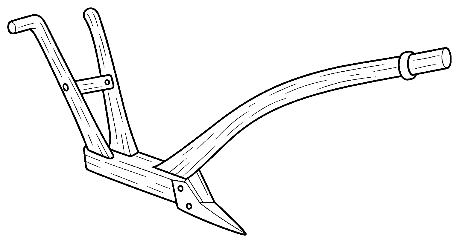 Coloriage de Araire : dessin au trait noir à colorier