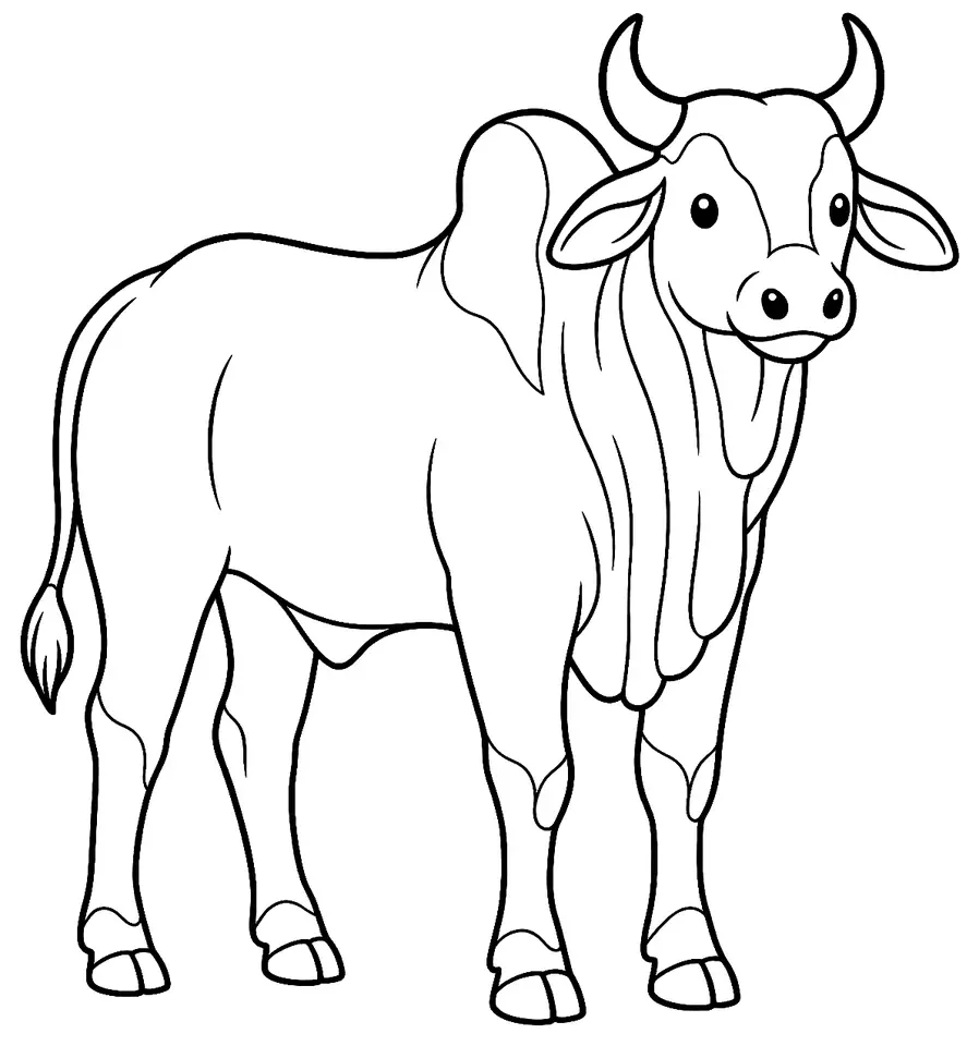 Coloriage de Ongole : dessin au trait noir à colorier