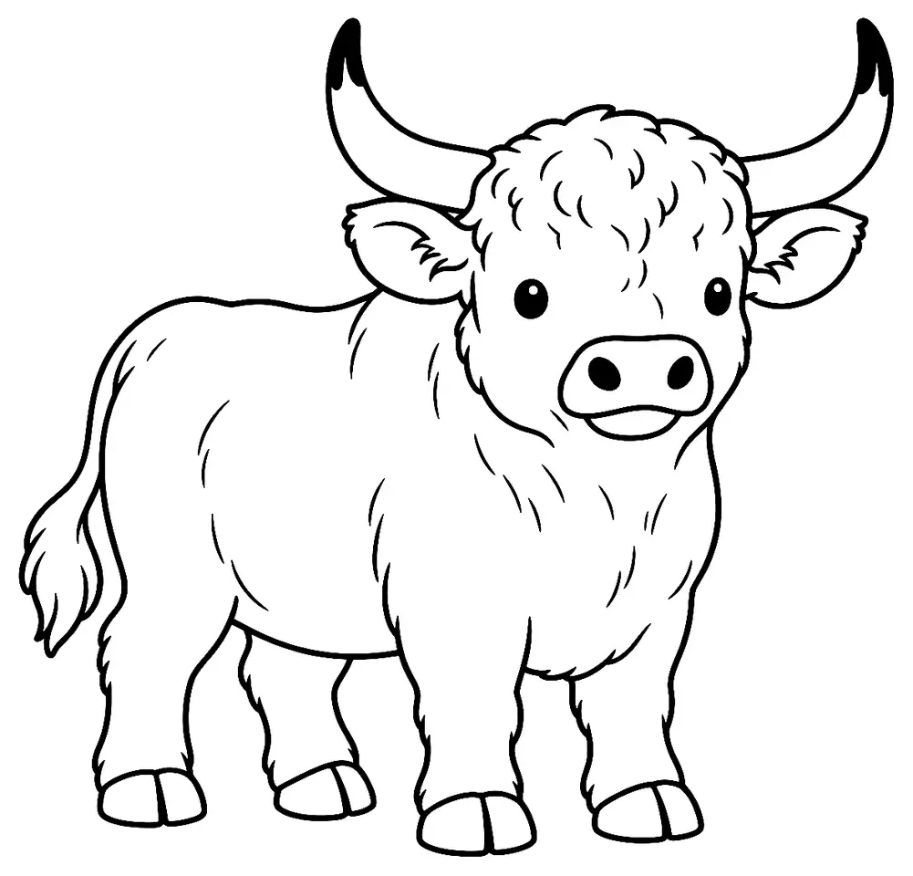Coloriage de Taureau blanc de Chillingham : dessin au trait noir à colorier
