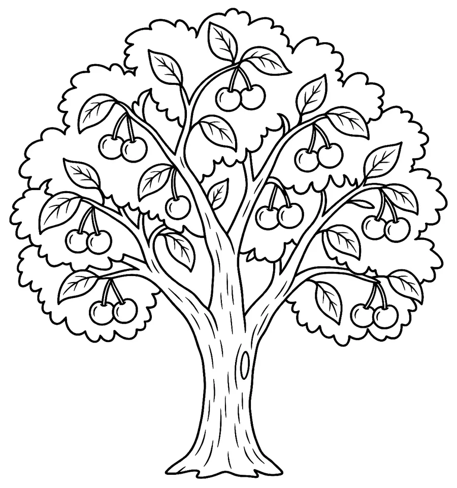 Coloriage de Cerisier : dessin au trait noir à colorier