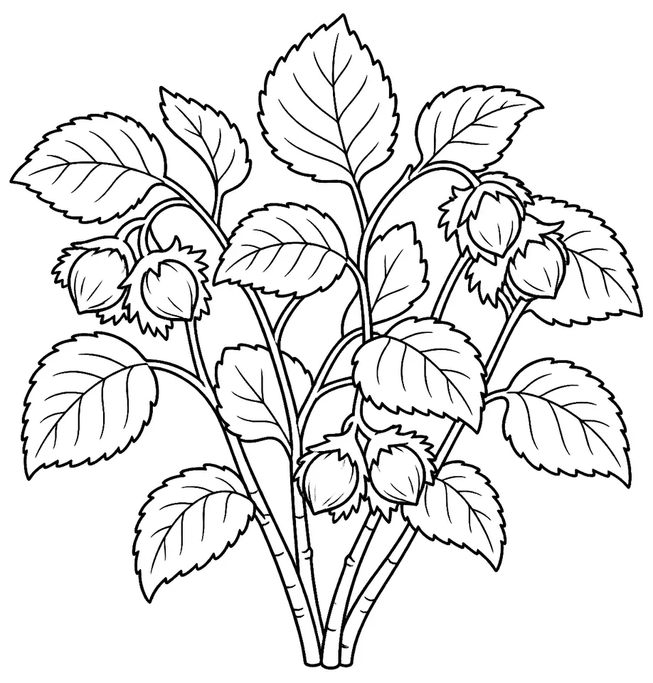 Coloriage de Noisetier : dessin au trait noir à colorier