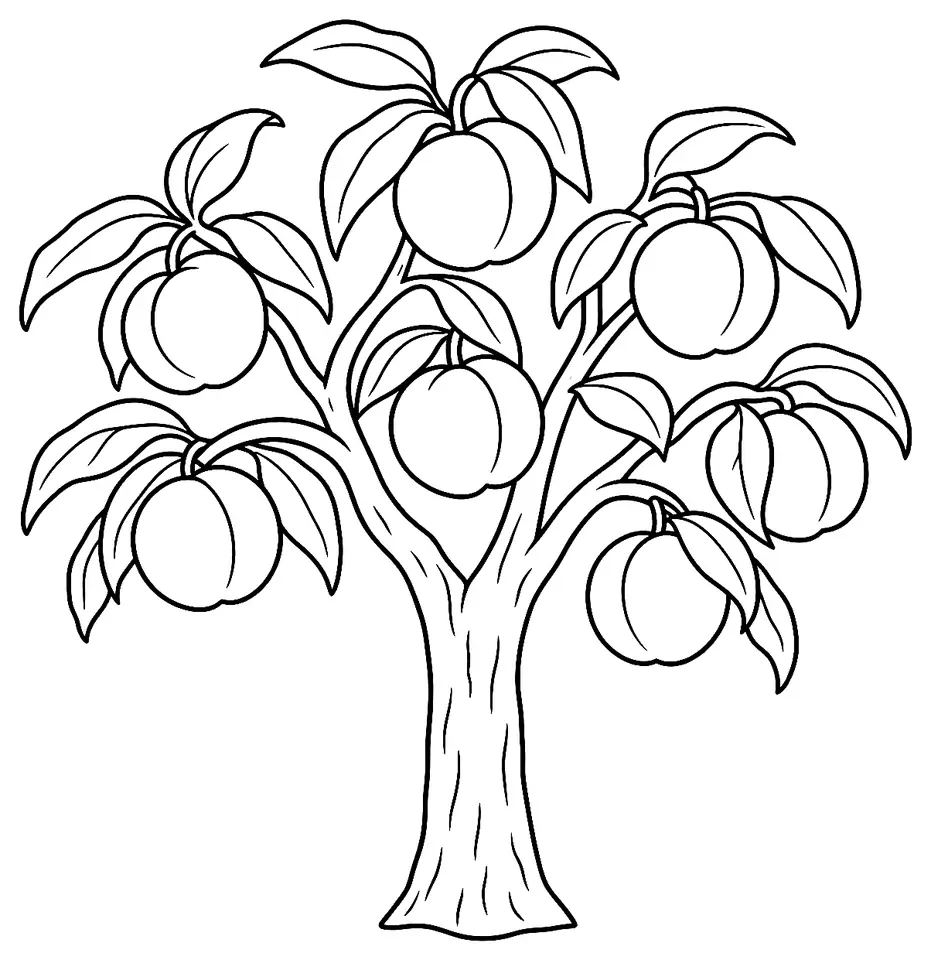 Coloriage de Pêcher : dessin au trait noir à colorier