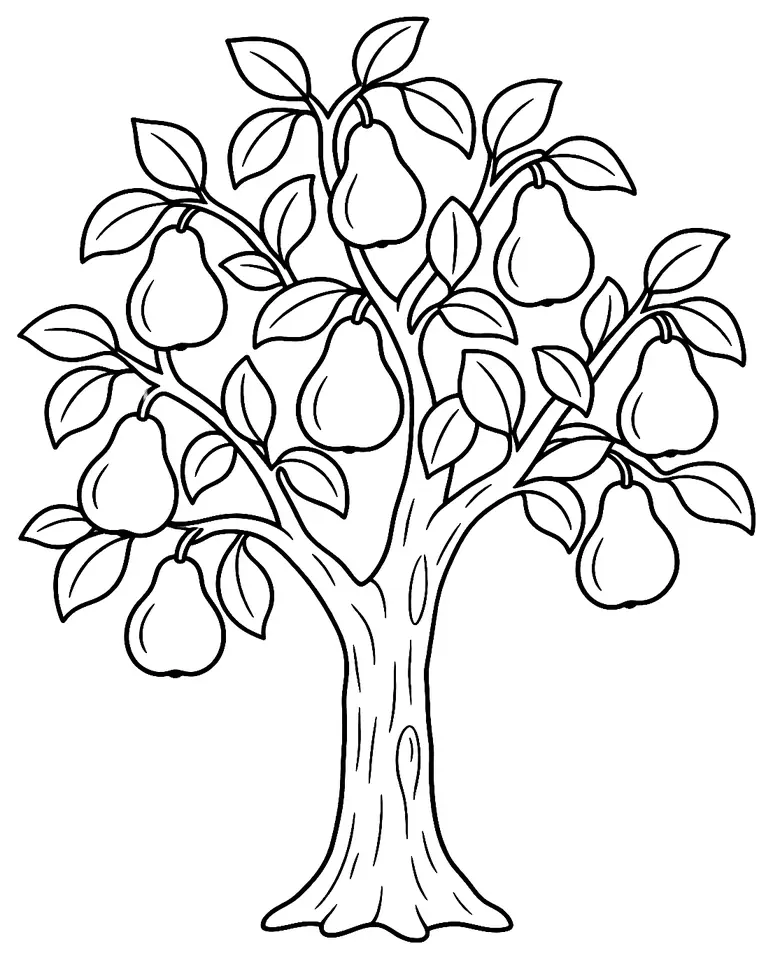Coloriage de Poirier : dessin au trait noir à colorier