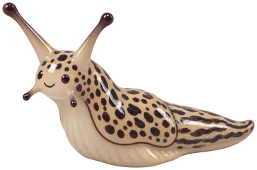 Limace léopard