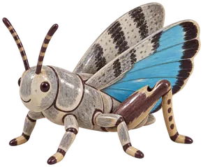 Œdipode turquoise