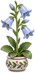 Campanule raiponce