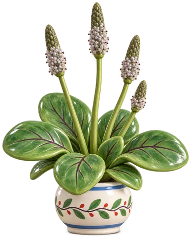 Plantain majeur, figurine en faïence de FermeVallée