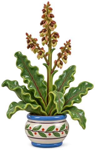 Rumex crépu, figurine en faïence de FermeVallée