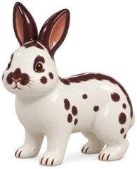 Papillon anglais